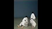 Harai Makikomi - 65 Throws of Kodokan Judo