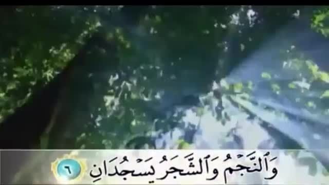 بهترین و زیباترین تلاوت و ویدئو قرانی سوره الرحمن