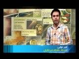 تخریب ایران در بازی angery birds