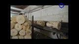 خط تولید ساخت چوب کبریت