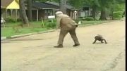 حمله سگ به پیرمرد