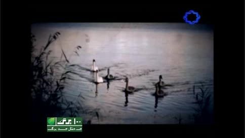 نماهنگ آتش در نیستان با صدای شهرام ناظری