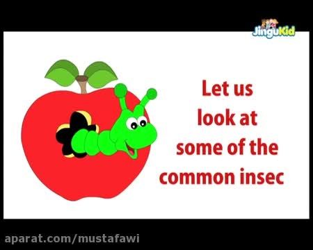 آموزش زبان انگلیسی به کودکان (نام حشرات) 4
