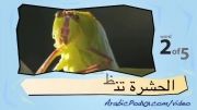 آموزش عربی با تصویر-48
