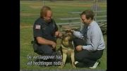 دهن سگ پلیس