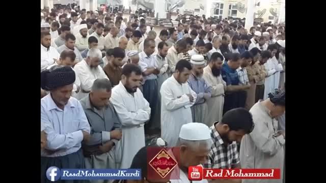 رعد محمد الکوردی (نماز تروایح 3 رمضان سال1436)