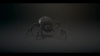 Spider Animation reel