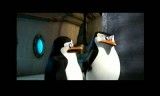قسمت حرف حق تلخه ی پنگوون های مادا گاسکار