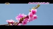 باغات میوه کشت و صنعت مغان در شهرستان پارساباد مغان