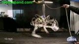 ربات یوزپلنگ -رکورد جدید سرعت