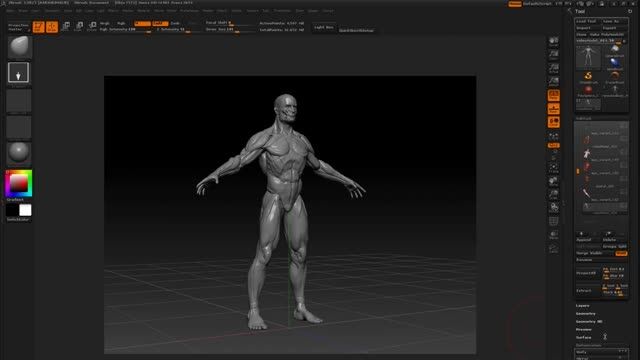 ZBrush Digital Sculpting Human Anatomy by Scott Spence