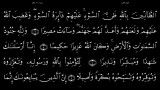 القرآن الکریم - 48 - سورة الفتح - سعد الغامدی
