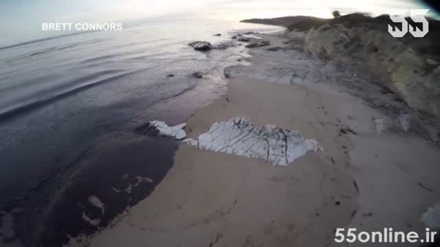 آلودگی نفتی در ساحل بندر سانتا بارابارا