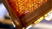 بسته بندی عسل ها و معجونهای عسلی در فروشگاه اینترنتی ست