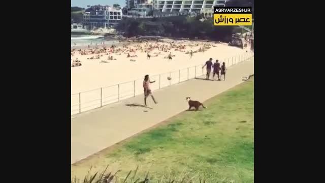 توپ بازی با سگ کنار ساحل