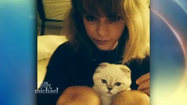 Taylor Swift&#039;s Adorable Cats