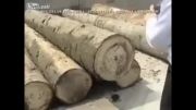 قاچاق در داخل چوب آلات جنگلی