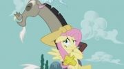 My Little Pony: Friendship is Magic - Meet fluttershy