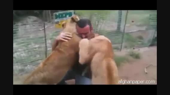 دوستی حیوانات با انسان