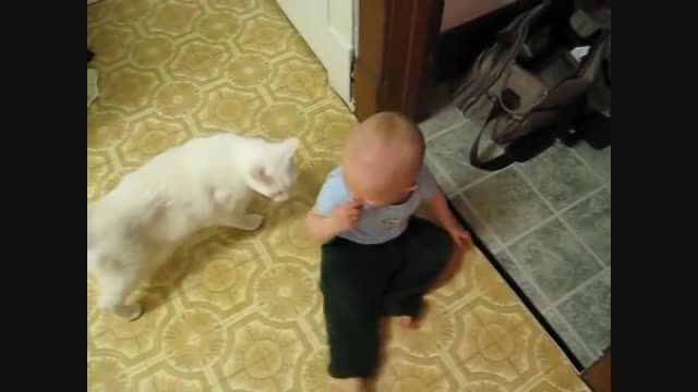 بچه شیطون و گربه باهوش