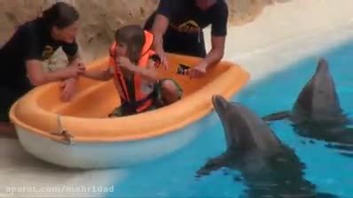 پارک دلفین ها - تماشایی