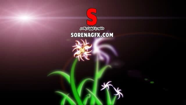 دانلود فوتیج انیمیشن گل های زیبا