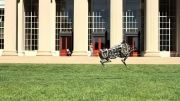 ربات یوزپلنگ دانشگاه MIT