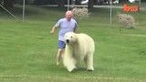 خرس قطبی lt