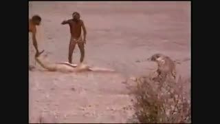 دو آفریقایی شکار دو یوزپلنگ را دزدیدند