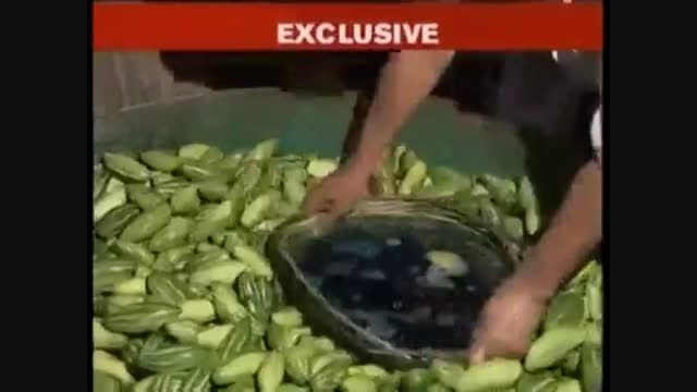 قرمز کردن هندوانه در هندوستان