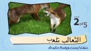آموزش عربی با تصویر-41
