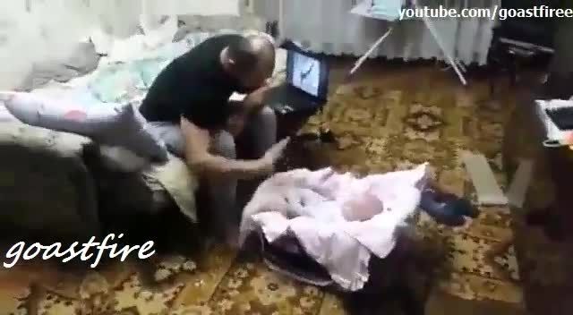 مراقبت گربه از بچه در مقابل پدر!