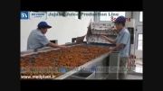 کارخانه فرآوری عناب در چین