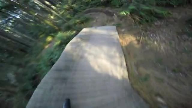 دوچرخه سواری باور نکردنی در جنگل
