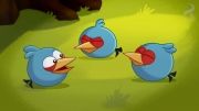 انیمیشن سریالی Angry Birds Toons | قسمت 48|Shrub It In