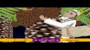 لالایی خوزستانی (ماه نخلستان)