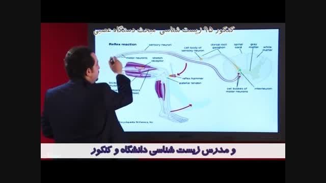 تدریس زیستشناسی کنکور استاد دکتر اشرفی مبحث دستگاه عصبی