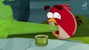 انیمیشن سریالی Angry Birds Toons | قسمت 7 | !Cordon Bleugh