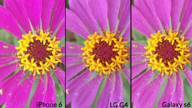 مقایسه دوربین LG G4-Samsung Galaxy S6-Apple iPhone 6