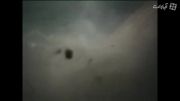 مشاهده مگالودان (بزرگ ترین کوسه جهان)