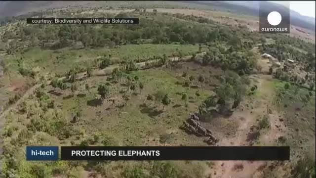 روبات پرنده  برای حفاظت  فیل ها  از خطر