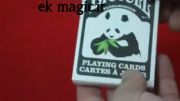 PandaBicycle card