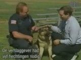 سگ پلیس 1