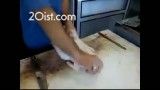 پوست کندن مرغ در 28 ثانیه