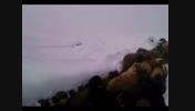 چوپانان کهنمو و چرای گوسفندان در زمستان 89