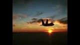 فیلم تبلیغاتی F-22