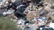 کشتار بی رحمانه دسته جمعی مردم سوریه توسط تروریستها