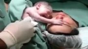 عشق وصف ناشدنی نوزاد به مادر از همان لحظات اول تولد