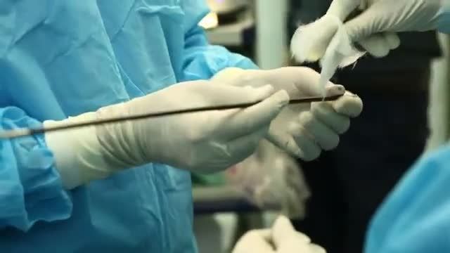 2nd Experimental Surgery With Sina Telesurgery System