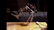 ربات تقلید کننده ی حرکت انسان-2
